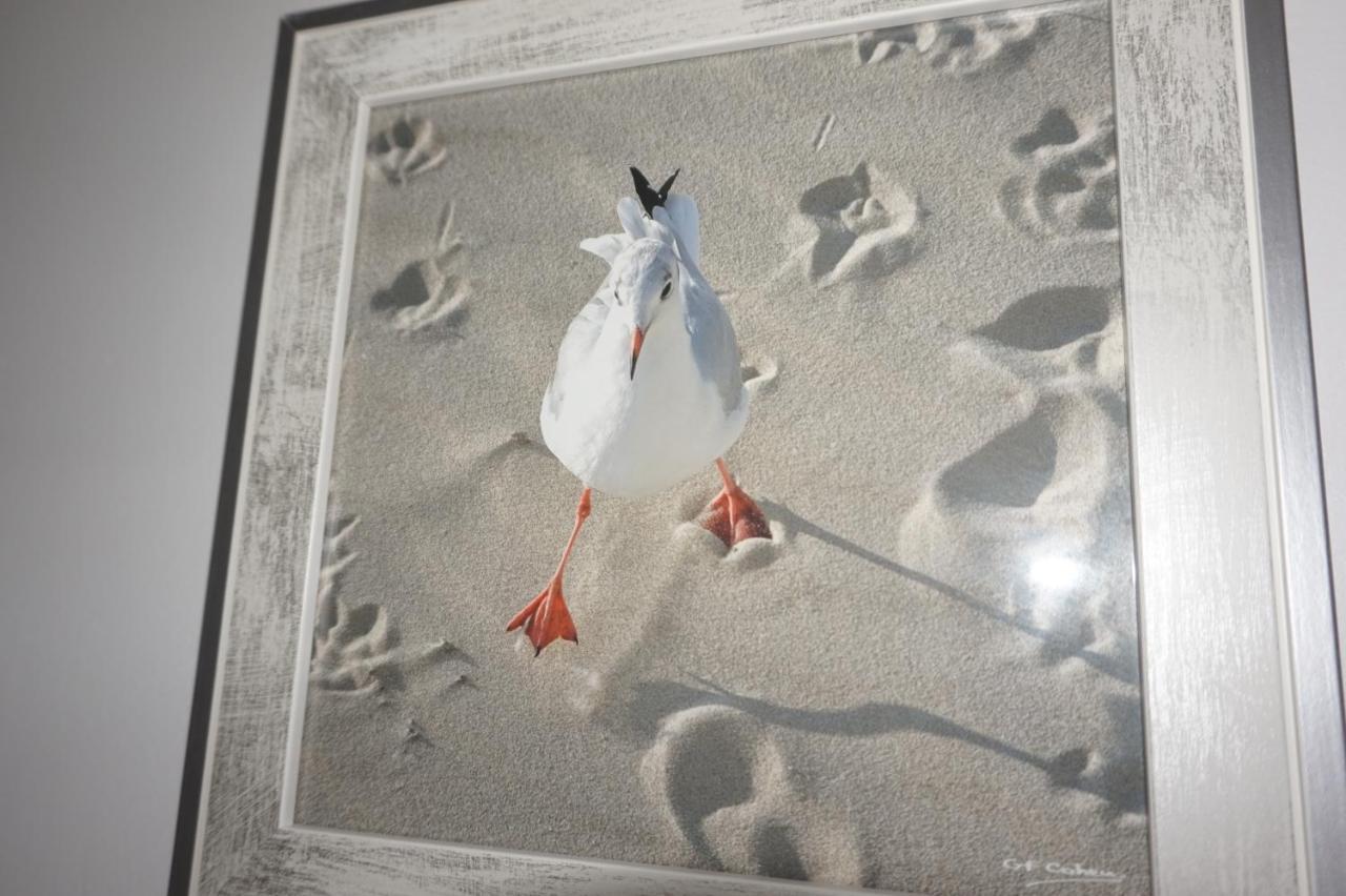 Appartement De Standing Berck ภายนอก รูปภาพ